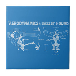 The Aerodynamics of a Basset Hound Ceramic Tile