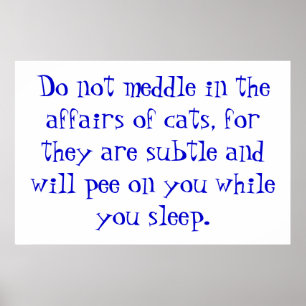 The Affairs of Cats Poster