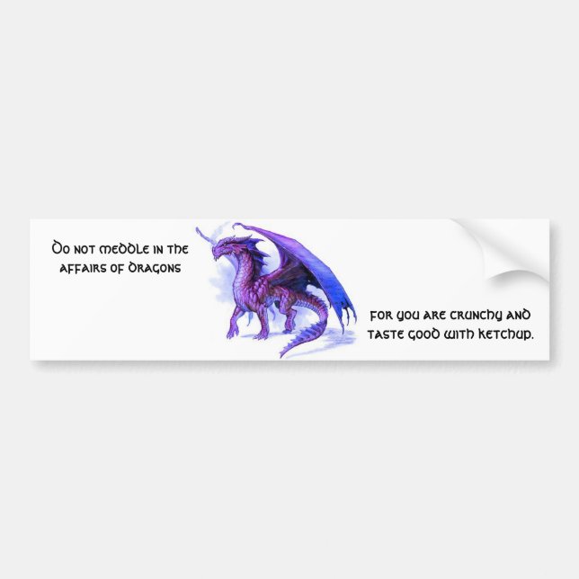 The affairs of dragons Bumpersticker Bumper Sticker (Front)