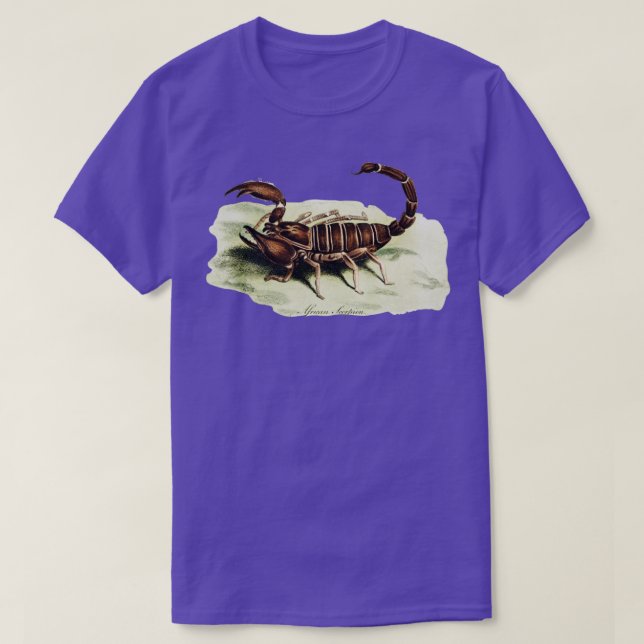 The African Scorpion  T-Shirt (Design Front)