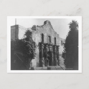 The Alamo in San Antonio, TX  Photograph #2 Postcard