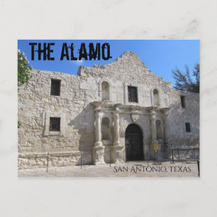The Alamo San Antonio Texas  Postcard
