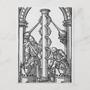 The Alchemist at Work Postcard