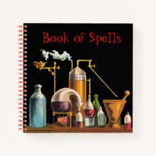 The Alchemist Mad Scientist Notebook