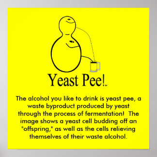 The Alcohol (Beer) You Drink Is Yeast Pee! Poster