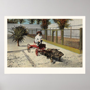 The Alligator Express Cart Print