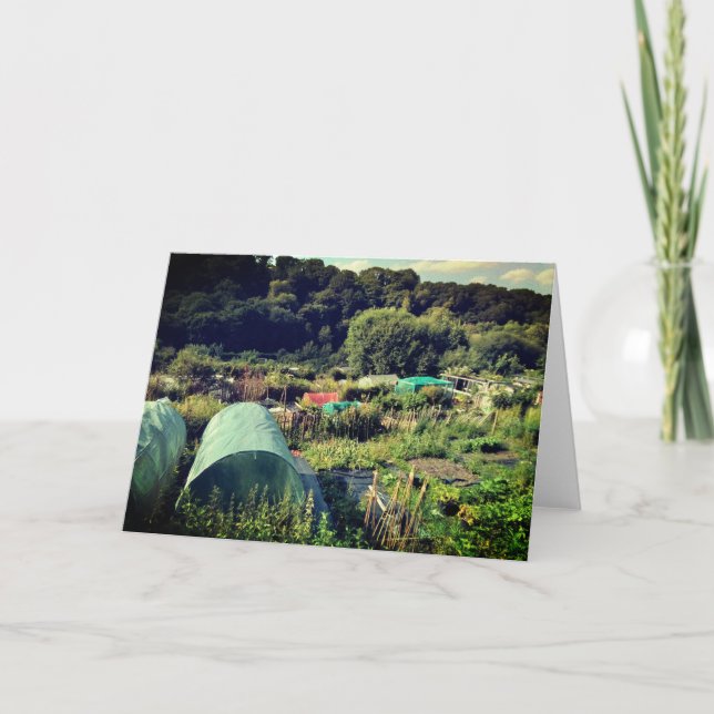 The Allotment Card (Front)