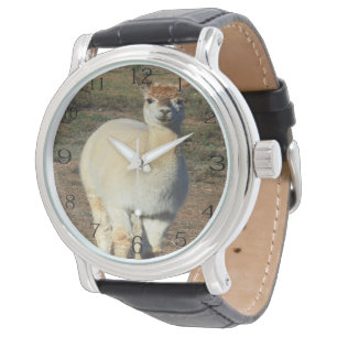 The Alpaca Grin: Woolly Cream Alpaca Grin, Watch