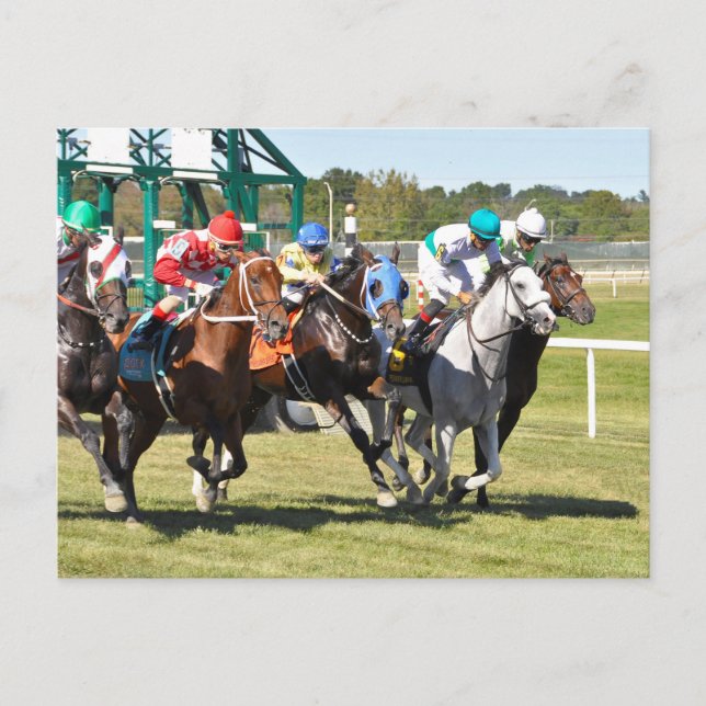 The Alphabet Soup 2017 Postcard (Front)