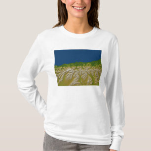 The Alpine fault along the west coast T-Shirt