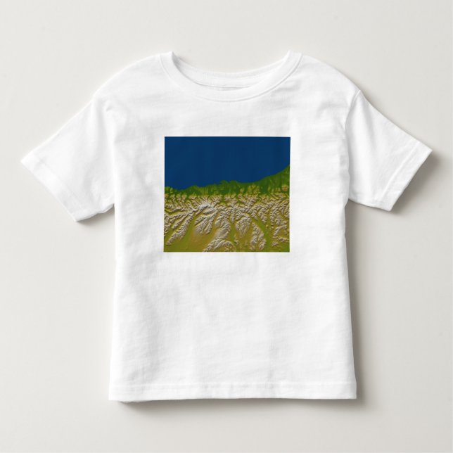 The Alpine fault along the west coast Toddler T-Shirt (Front)