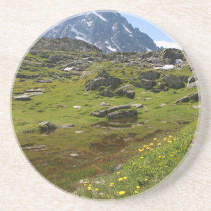 The Alps mountain range - Stunning! Coaster