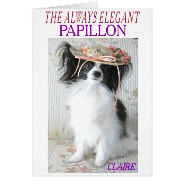 THE ALWAYS ELEGANT PAPILLON (Front)