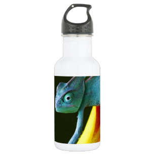 The Amazing Chameleon 532 Ml Water Bottle