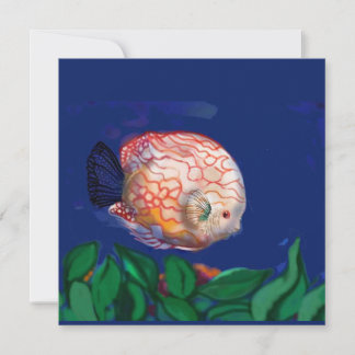 The amazing fish