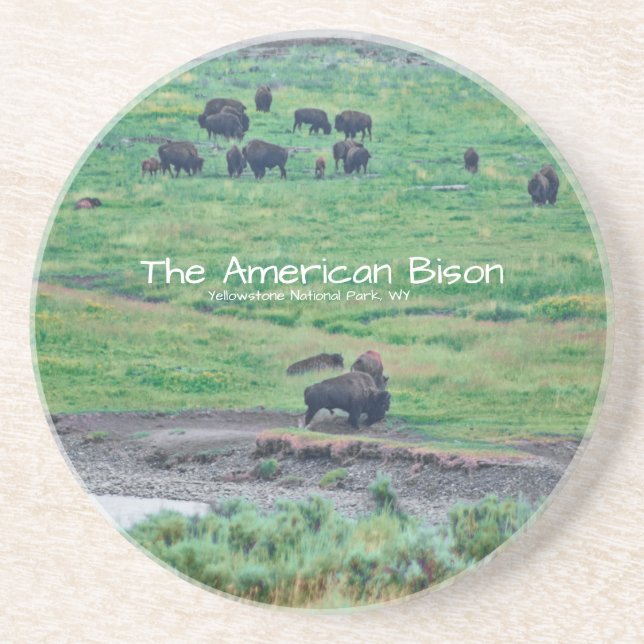 The American Bison Coaster (Front)