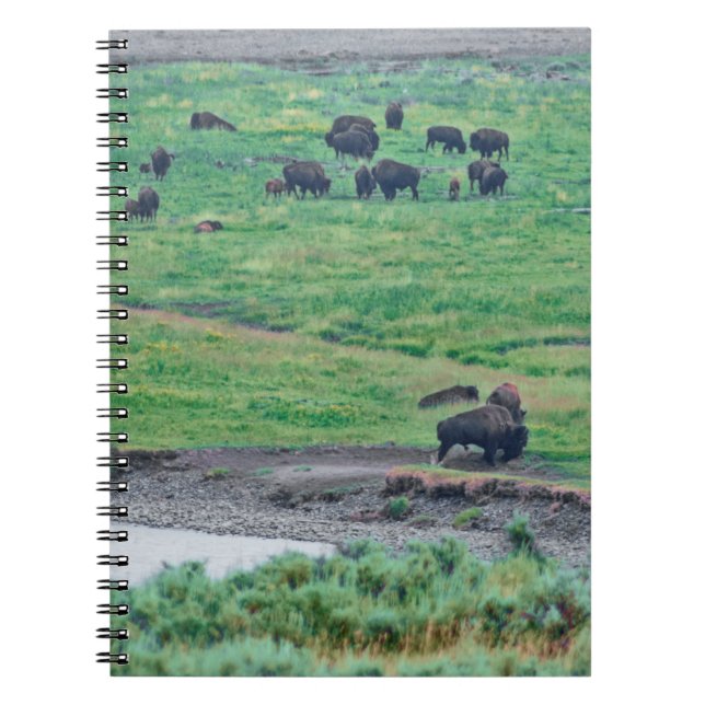 The American Bison Notebook (Front)