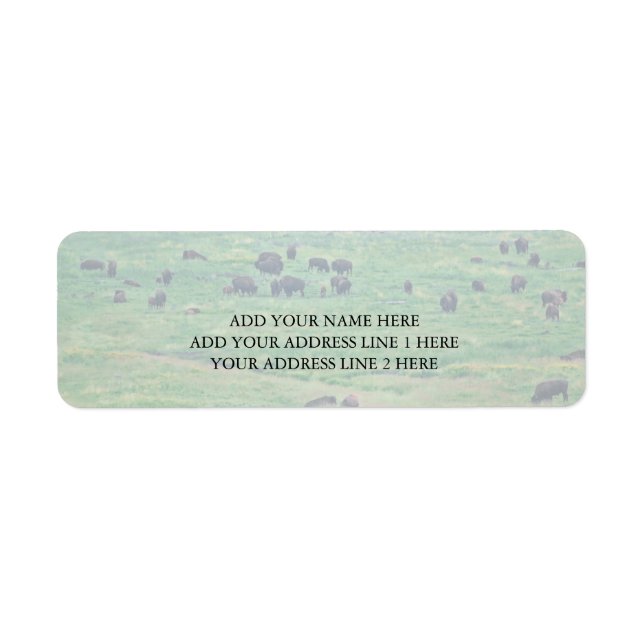 The American Bison Return Address Label (Front)