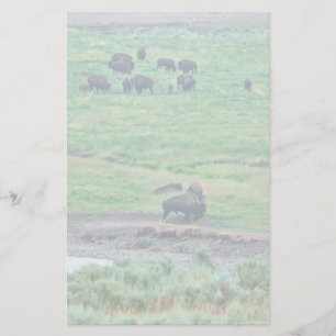 The American Bison Stationery