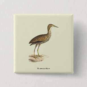 The American Bittern (Botaurus lentiginosus) Bird 15 Cm Square Badge