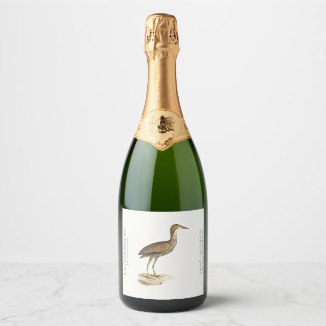 The American Bittern (Botaurus lentiginosus) Bird  Sparkling Wine Label (Front)