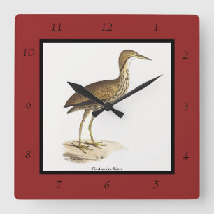 The American Bittern (Botaurus lentiginosus) Bird  Square Wall Clock