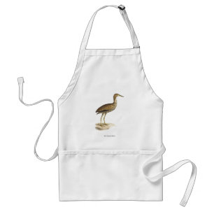 The American Bittern (Botaurus lentiginosus) Bird Standard Apron