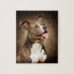 The American Blue Pit-Bull Jigsaw Puzzle