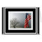 The American Flag is our Strength