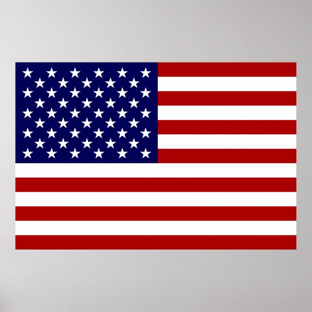The American Flag Poster (Front)