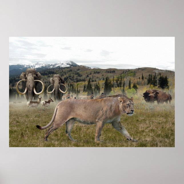 The American lion with Mammoths and Bison, poster (Front)