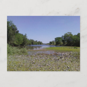 The American River in Sacramento,CA Postcard