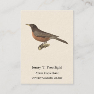 The American Robin (Turdus migratorius) NY Birds Business Card