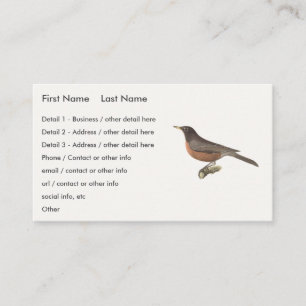 The American Robin (Turdus migratorius) NY Birds Business Card