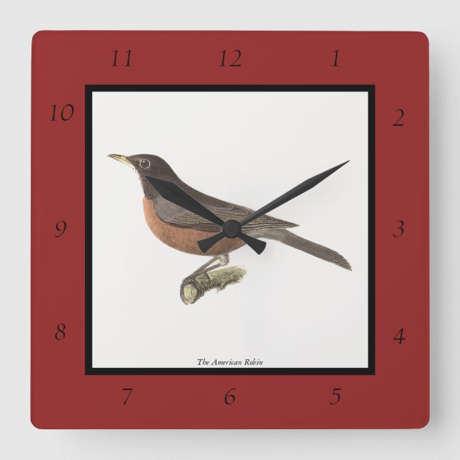 The American Robin (Turdus migratorius) NY Birds Square Wall Clock (Front)