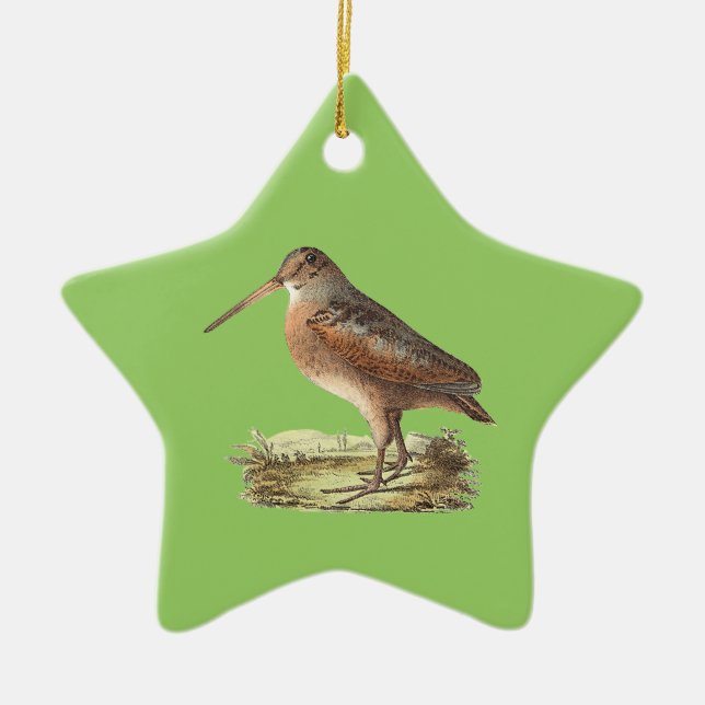 The American Woodcock (Rusticola minor) NY Bird Ceramic Tree Decoration (Front)