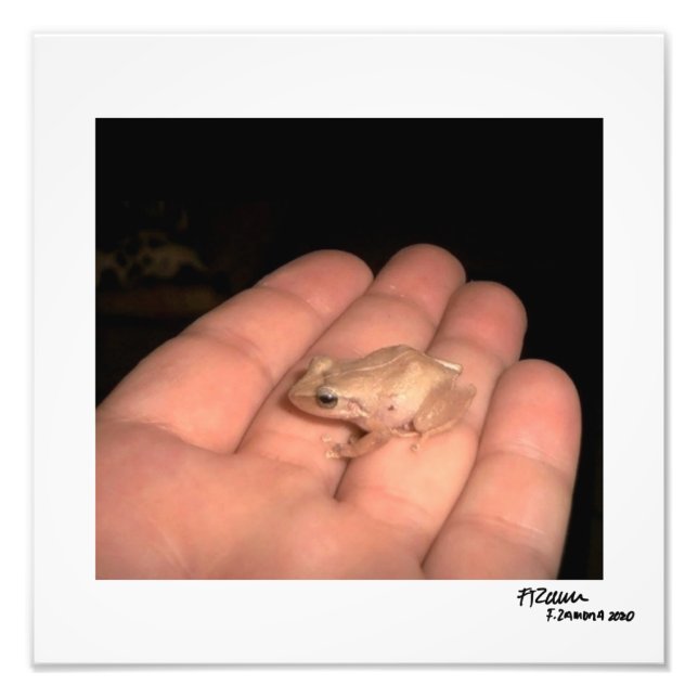 The Amphibian. Photo Print (Front)
