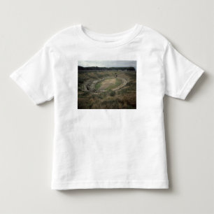 The Amphitheatre Toddler T-Shirt