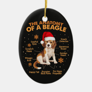 The Anatomy Of A Beagle Circle Ornament Keepsake –