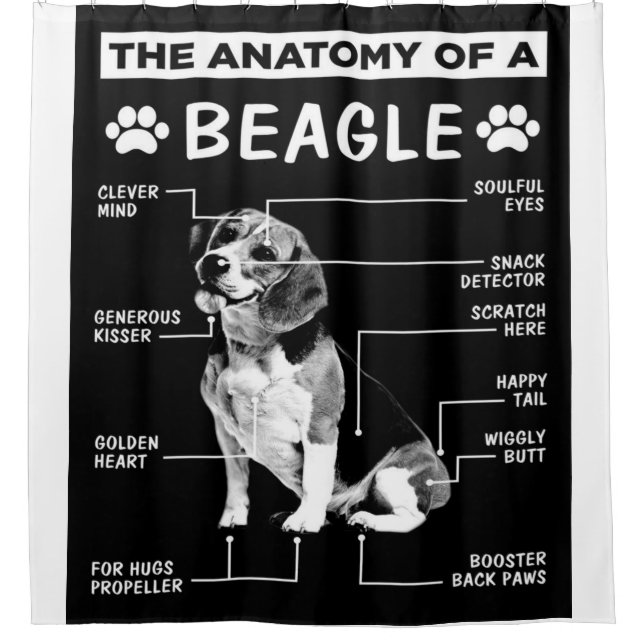 The Anatomy Of A Beagle Dog Shower Curtain (Front)