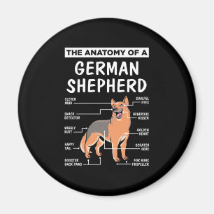 The Anatomy Of A German Shepherd Magnet