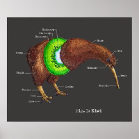 The Anatomy of a Kiwi