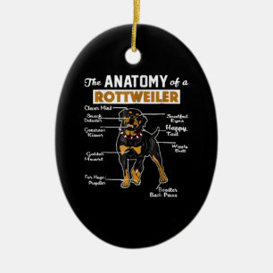 The Anatomy Of A Rottweiler Cool Dog Lover Ceramic Ornament