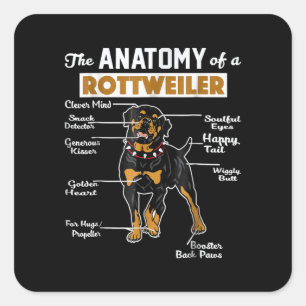 The Anatomy Of A Rottweiler   Cool Dog Lover Square Sticker