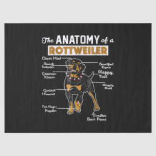 The Anatomy Of A Rottweiler Cool Dog Lover Tissue Paper
