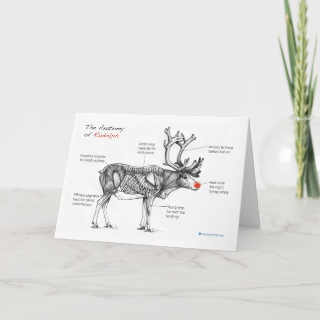 the Anatomy of Rudolph Christmas Card (Front)
