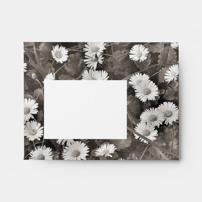 The Ancient of Daisies Envelope (Front)