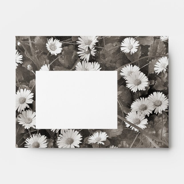 The Ancient of Daisies Envelope (Front)