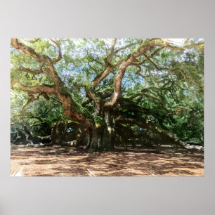 The Angel Oak Watercolor Poster