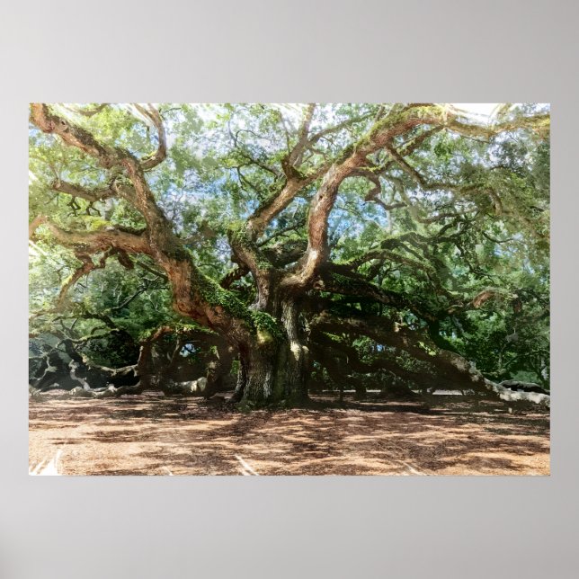 The Angel Oak Watercolor Poster (Front)